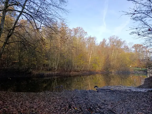 Absperrung fotografisch ignoriert | Foto: Aurelia Kling
