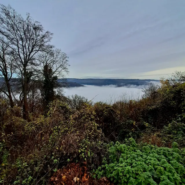 Foto: Eduard Warenik