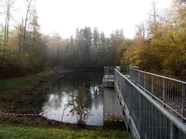 Es füllt sich schon wieder | Foto: WandernGabyErich
