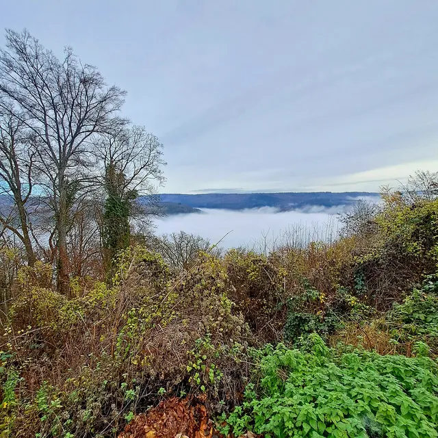 Foto: Eduard Warenik