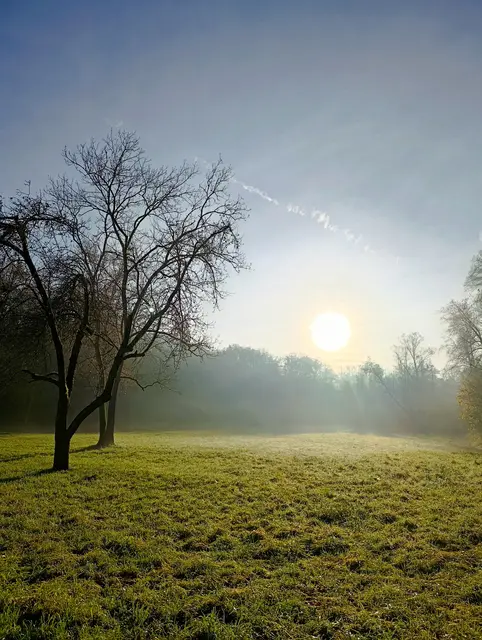 Herbstsonne | Foto: Aurelia Kling