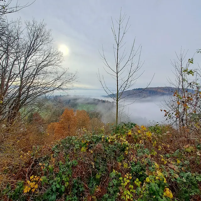 Foto: Eduard Warenik