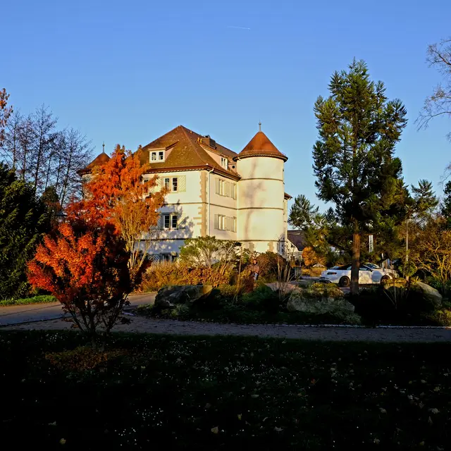 Foto: Eduard Warenik