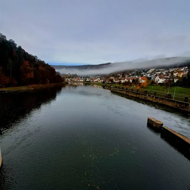 Neckarsteinach | Foto: Eduard Warenik