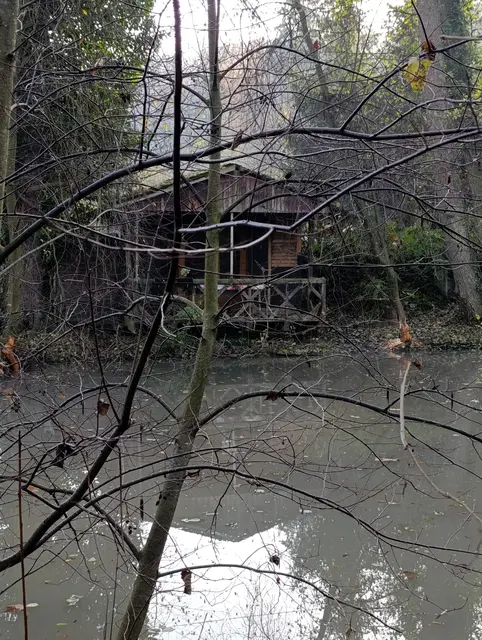 Biber am Werk | Foto: Aurelia Kling