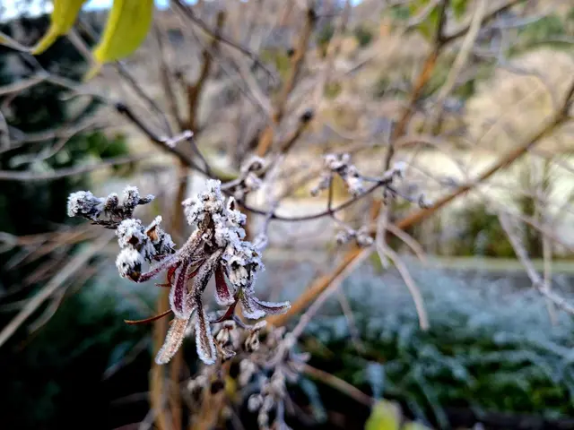 19.11.2025 -3°C 🥶 | Foto: Ralf Röser