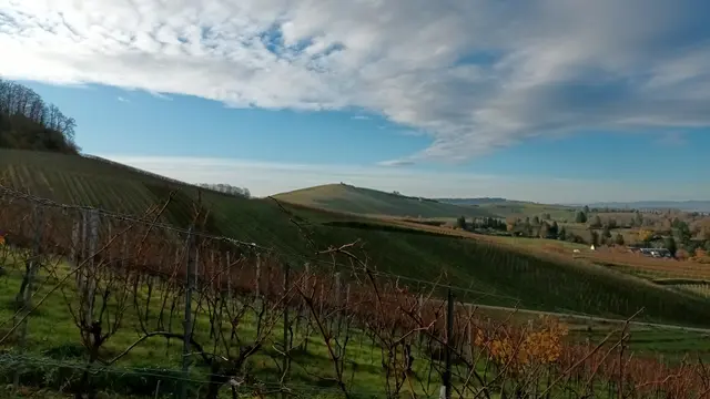Wie ein Gemälde erscheint die Landschaft um den Staufenberg | Foto: Wandern Gaby Erich