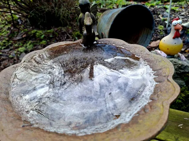 19.11.2025 -3°C 🥶 | Foto: Ralf Röser