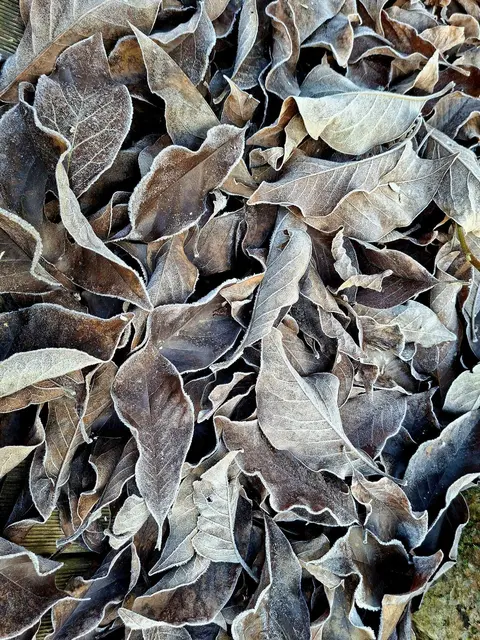 19.11.2025 -3°C 🥶 | Foto: Ralf Röser