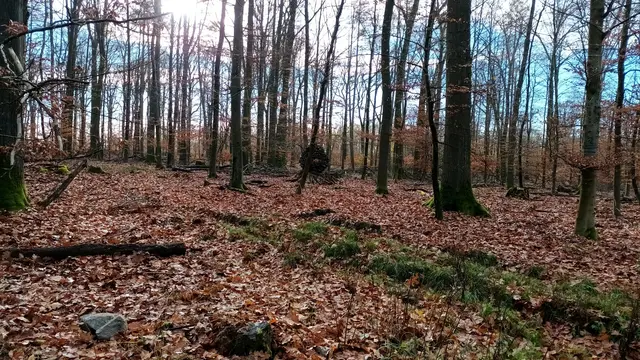 Fast hätten sie das Monument übersehen | Foto: Wandern Gaby Erich