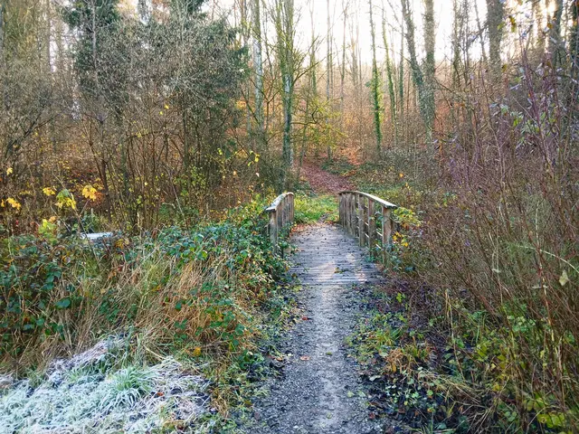 Raureif hat sich im Schatten auf Wiesen und Brückle in der Kälte gehalten.  | Foto: sigischlottke