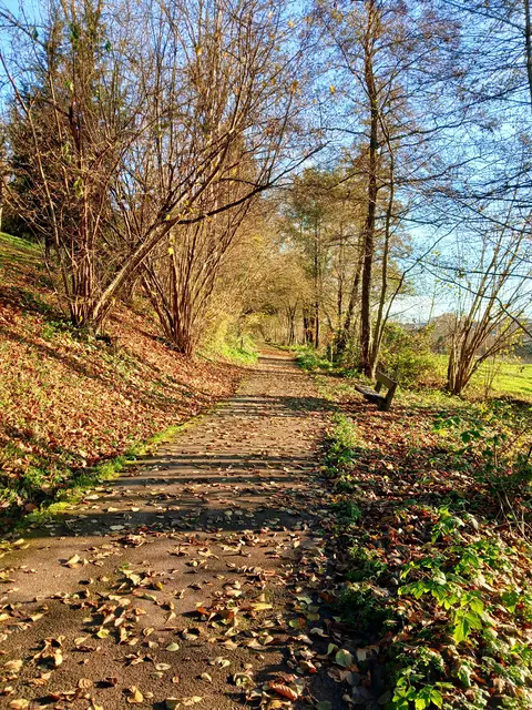 Ein sonniger Weg führt nach Biberach. | Foto: sigischlottke