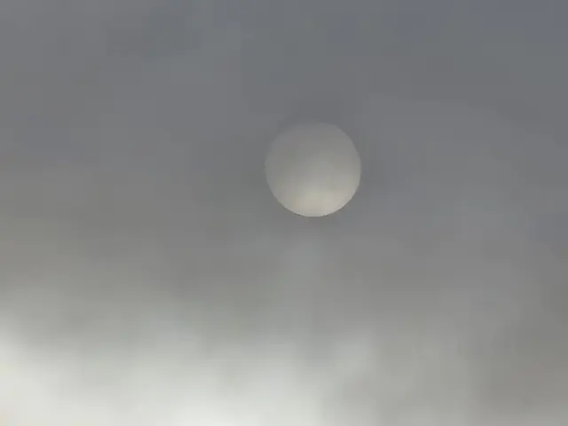 Foto: Heidrun Rosenberger