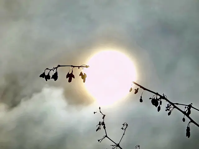 Foto: Heidrun Rosenberger