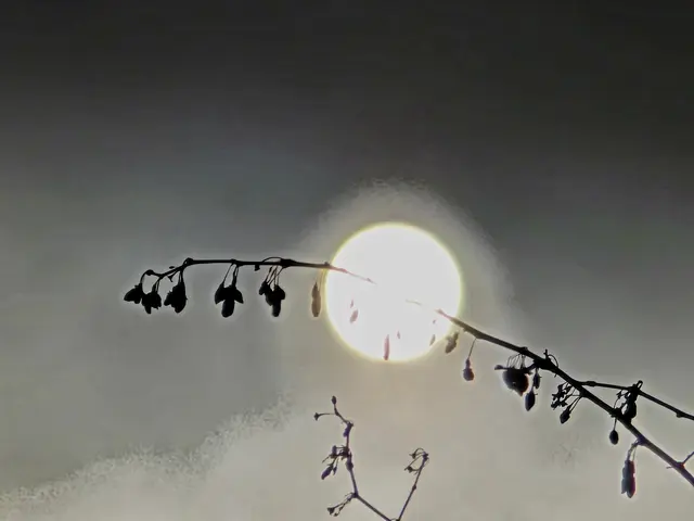 Foto: Heidrun Rosenberger