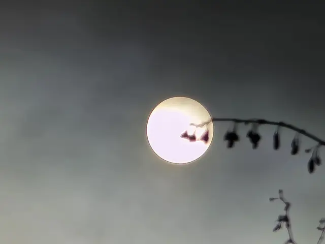 Foto: Heidrun Rosenberger