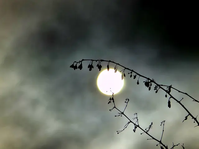 Foto: Heidrun Rosenberger