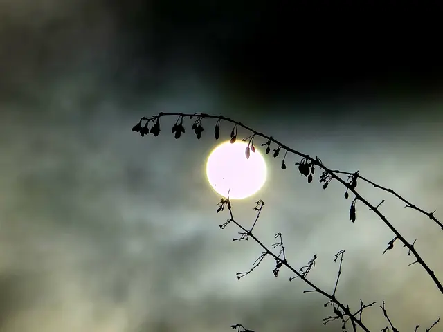 Foto: Heidrun Rosenberger