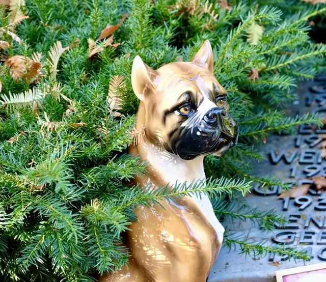 Ein Boxer in Porzellan und ziemlicher Größe hält hier Wacht. | Foto: ED
