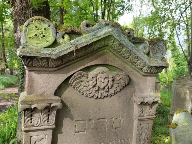 Auf dem Jüdischen Friedhof in Bad Rappenau-Heimsheim. | Foto: Sigrid Schlottke
