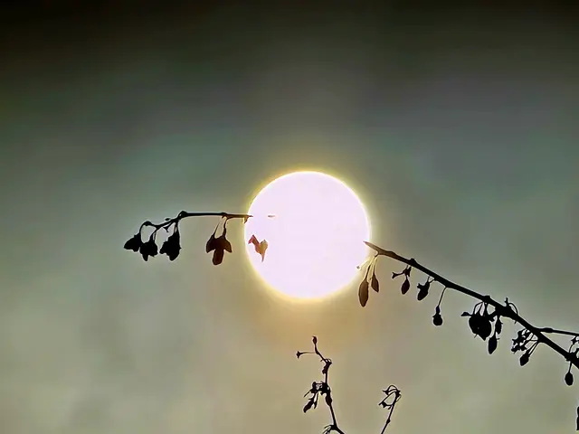 Foto: Heidrun Rosenberger