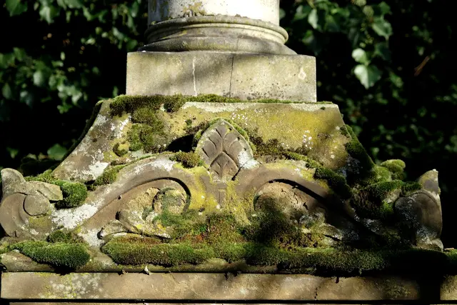 Auf dem Jüdischen Friedhof in Heilbronn. | Foto: Elektra Domesle