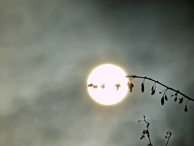 Foto: Heidrun Rosenberger