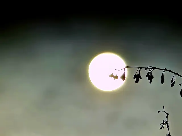 Foto: Heidrun Rosenberger