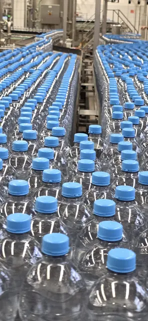 Foto: privat Sibylle Tröber