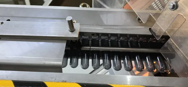 Foto: privat Sibylle Tröber