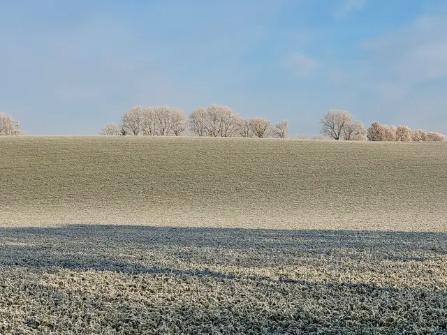Foto: Hans Peter Schmitt