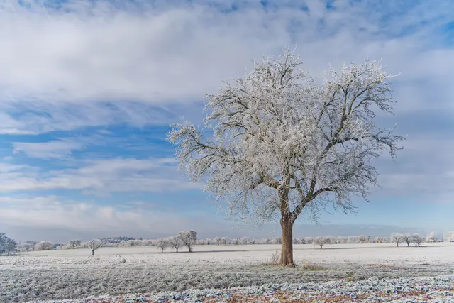 Foto: Eigenes Bild TB