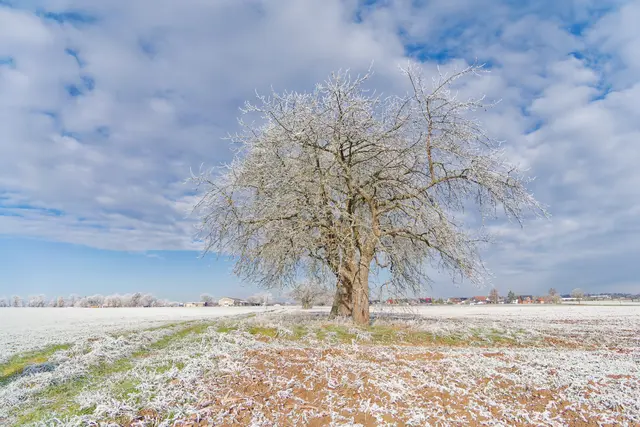 Foto: Eigenes Bild TB