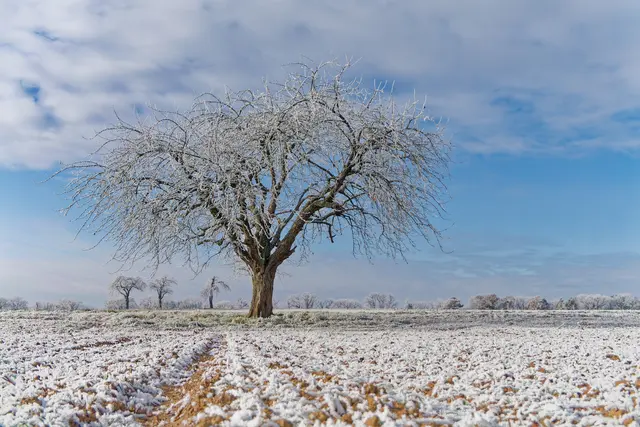 Foto: Eigenes Bild TB