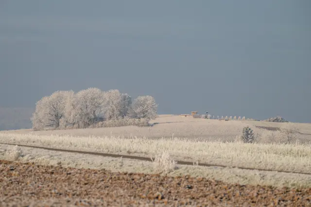 Foto: Elke Köbernick