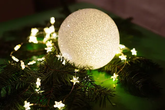 Foto: Melanie Rotter