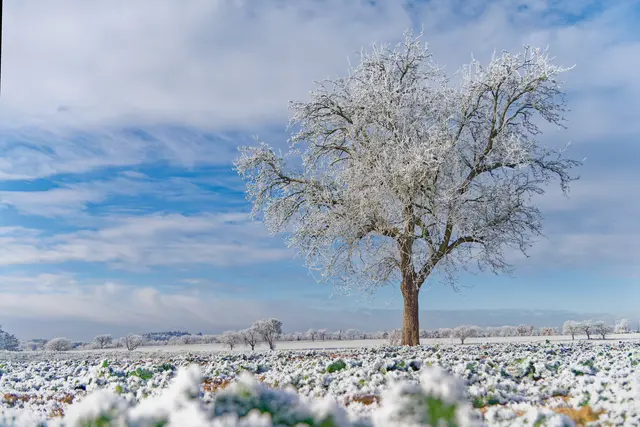 Foto: Eigenes Bild TB