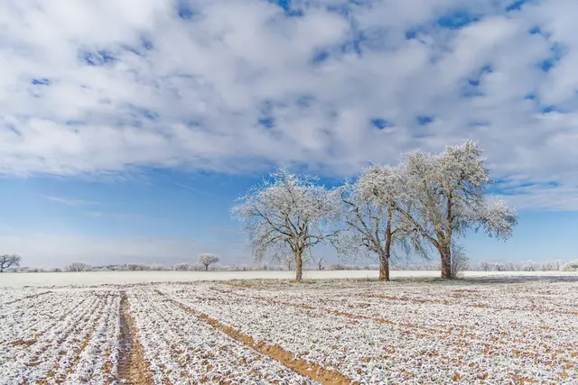 Foto: Eigenes Bild TB