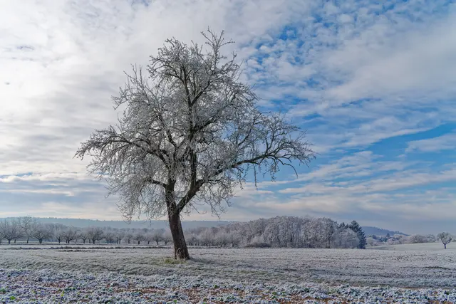 Foto: Eigenes Bild TB