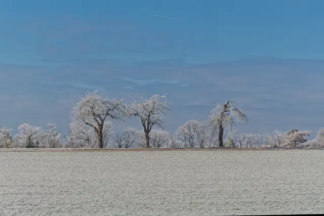 Foto: Eigenes Bild TB