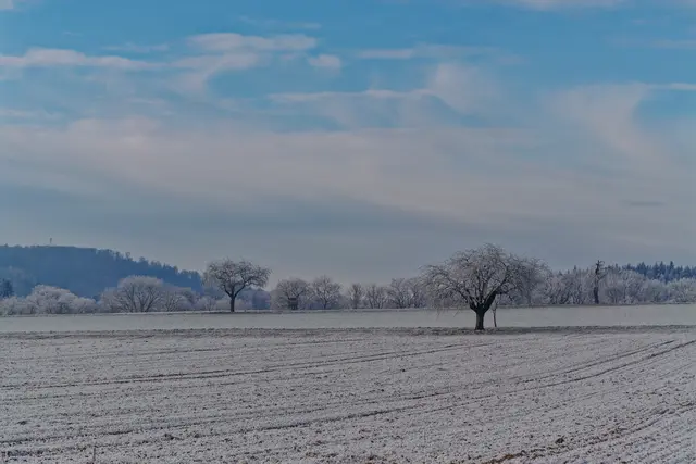 Foto: Eigenes Bild TB