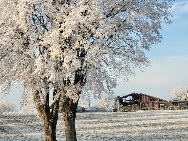 Foto: Hans Peter Schmitt