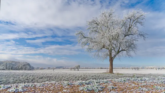 Foto: Eigenes Bild TB