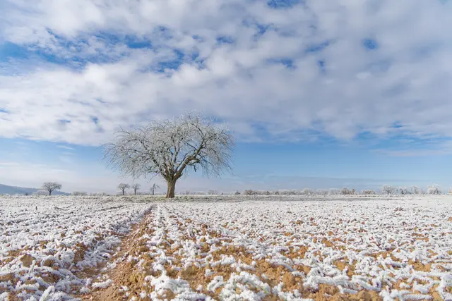 Foto: Eigenes Bild TB