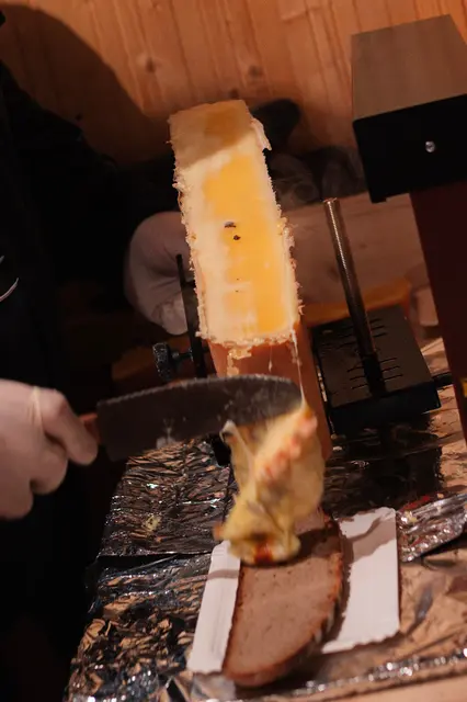 Foto: Melanie Rotter