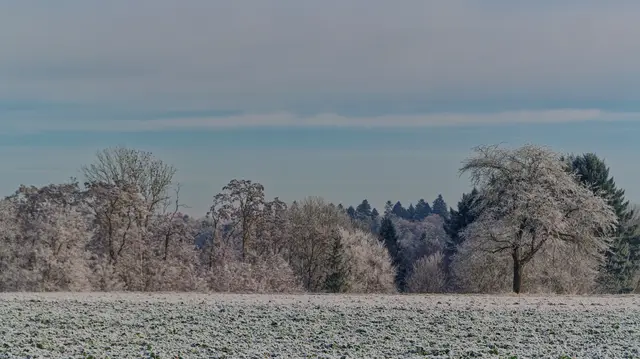 Foto: Eigenes Bild TB