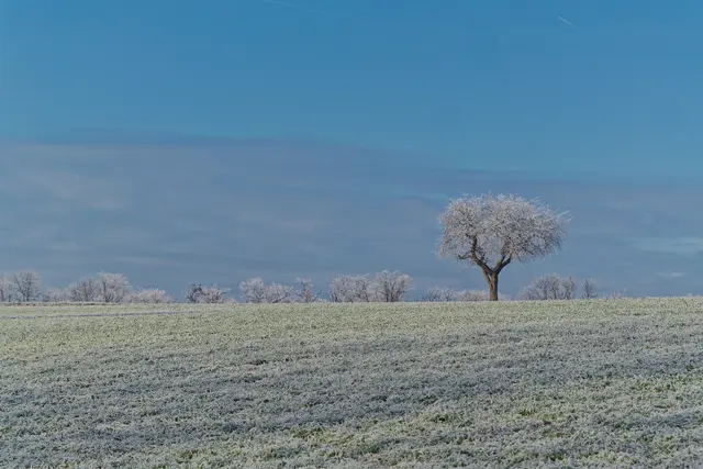 Foto: Eigenes Bild TB