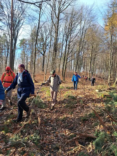 Laubbedeckte Waldwege. | Foto: Isolde Reitz