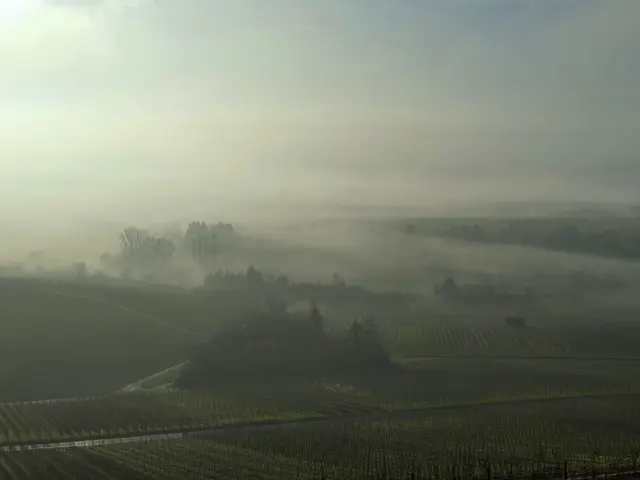 Der Nebel verdeckt alles | Foto: KHW