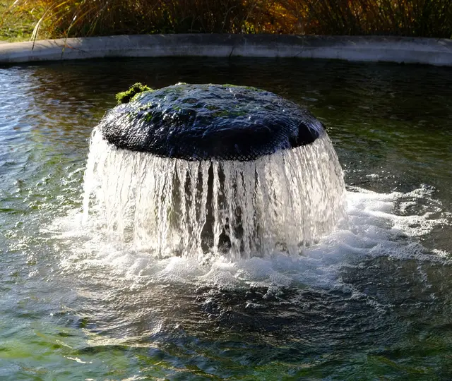 Foto: Eduard Warenik